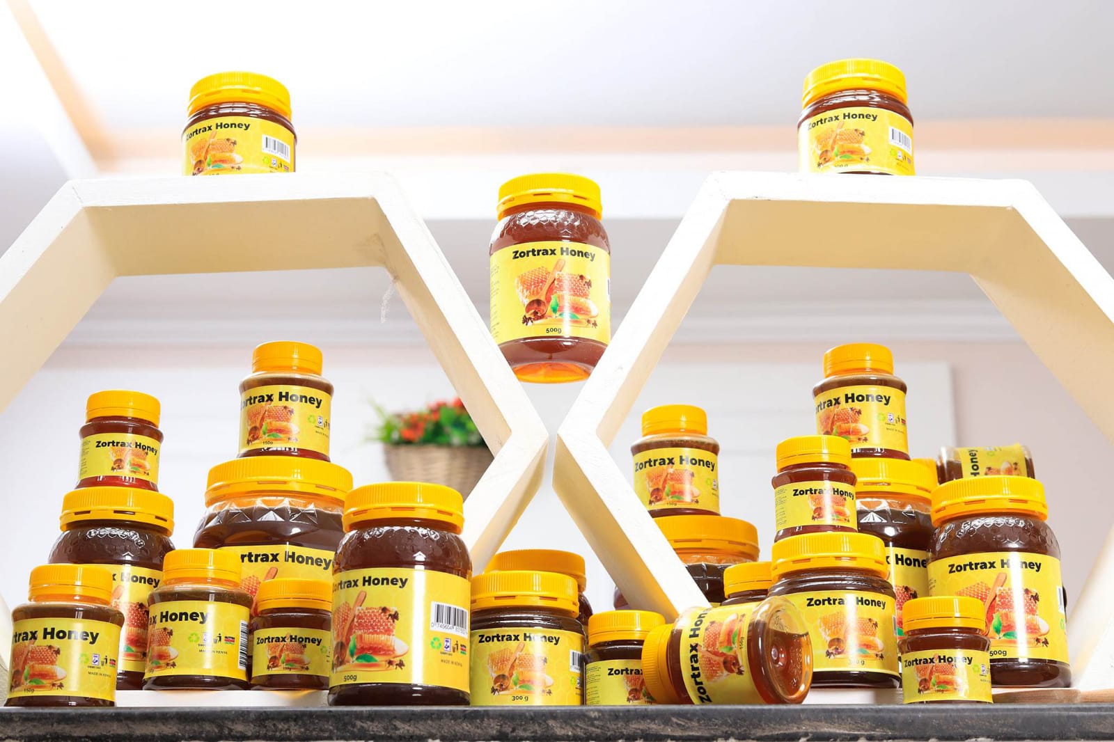 WhatsApp Image 2024-11-11 at 17.17.49 (1)