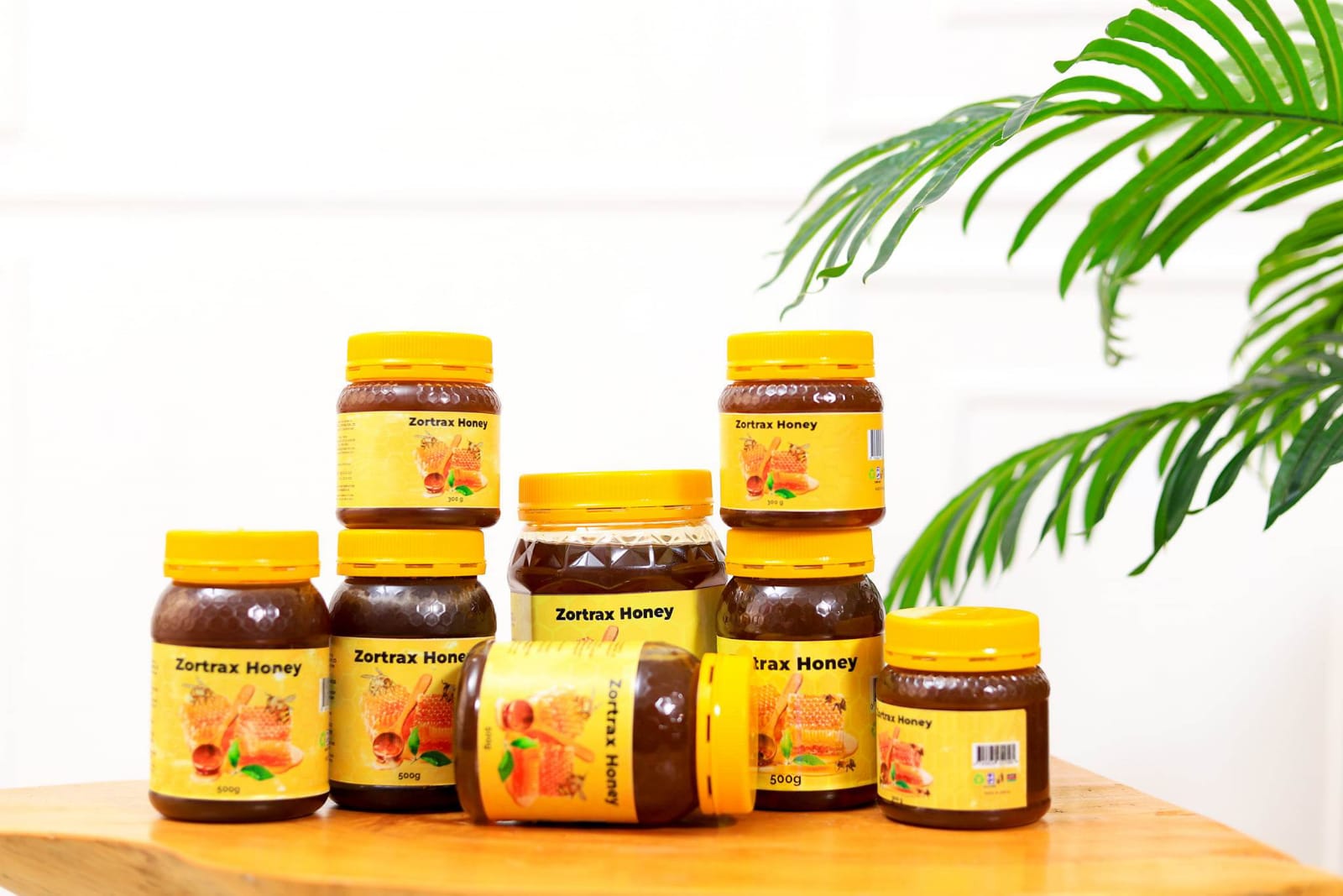 WhatsApp Image 2024-11-11 at 17.17.49 (2)