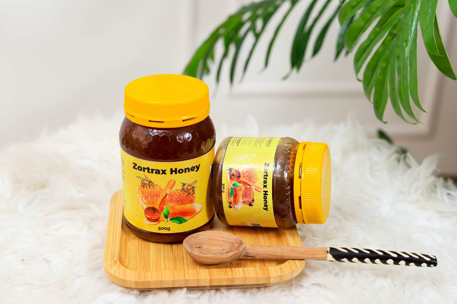 WhatsApp Image 2024-11-11 at 17.17.50 (1)