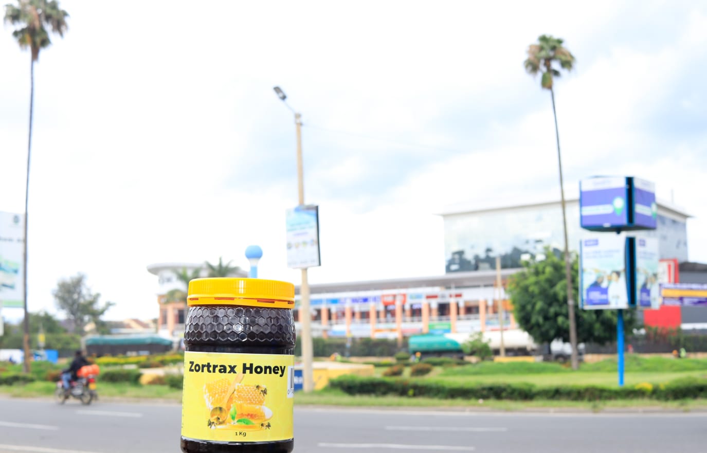 WhatsApp Image 2024-12-10 at 12.24.37