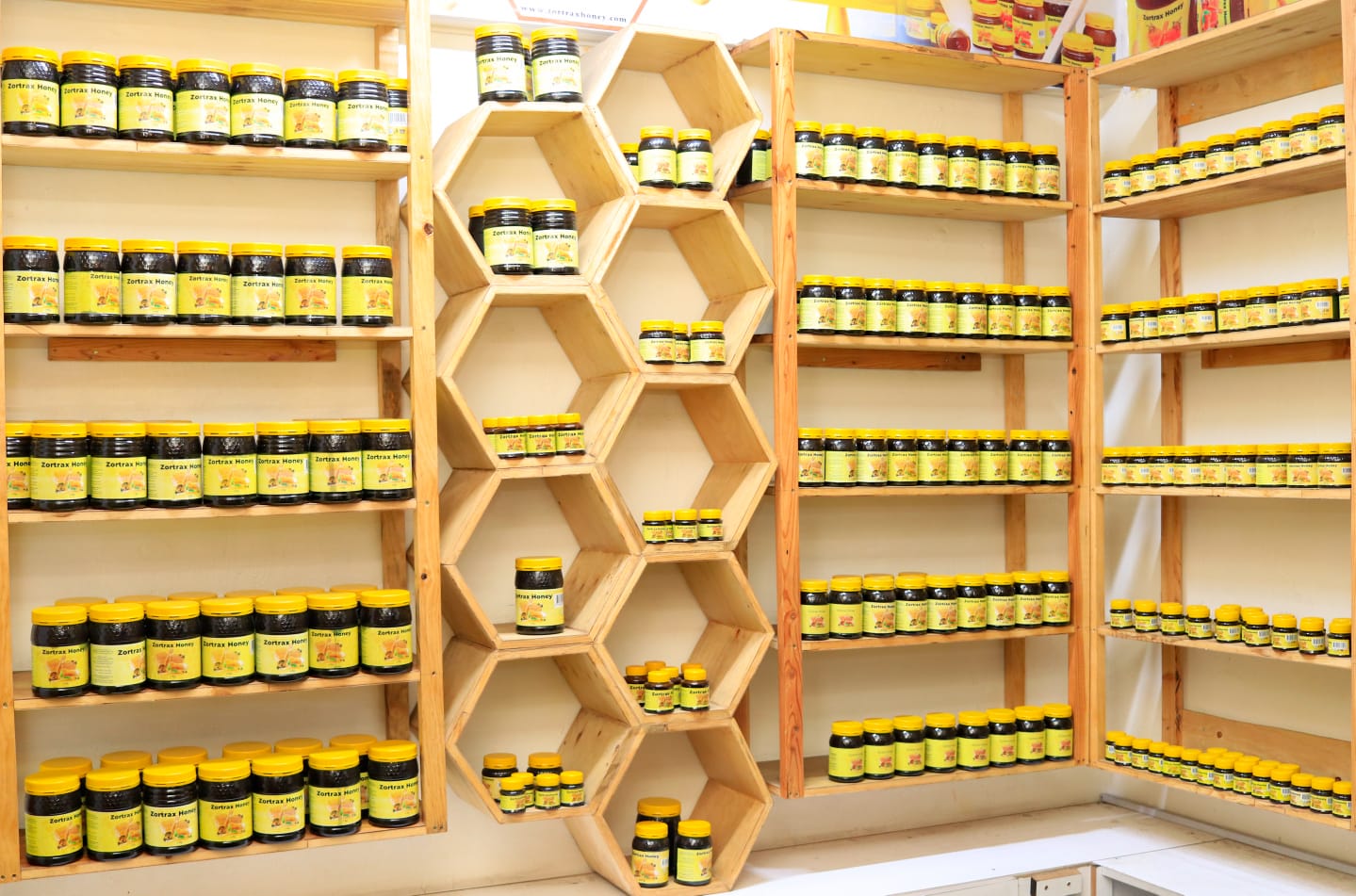 WhatsApp Image 2024-12-10 at 12.24.40 (1)