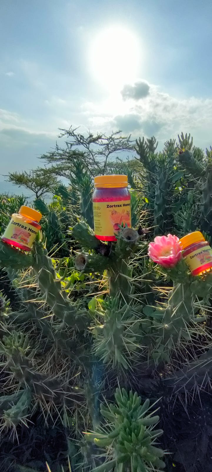 WhatsApp Image 2024-12-10 at 12.24.45 (1)