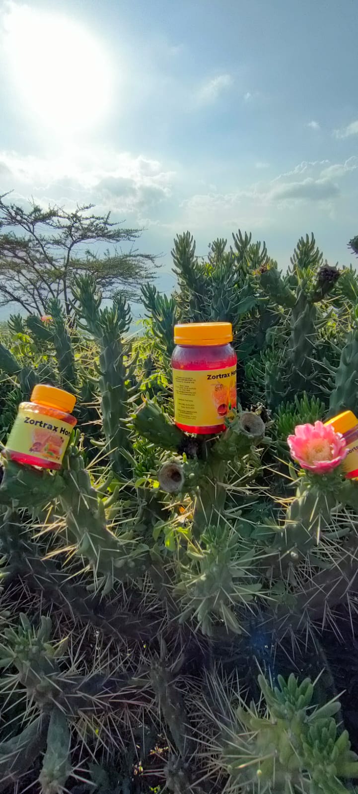 WhatsApp Image 2024-12-10 at 12.24.45 (3)