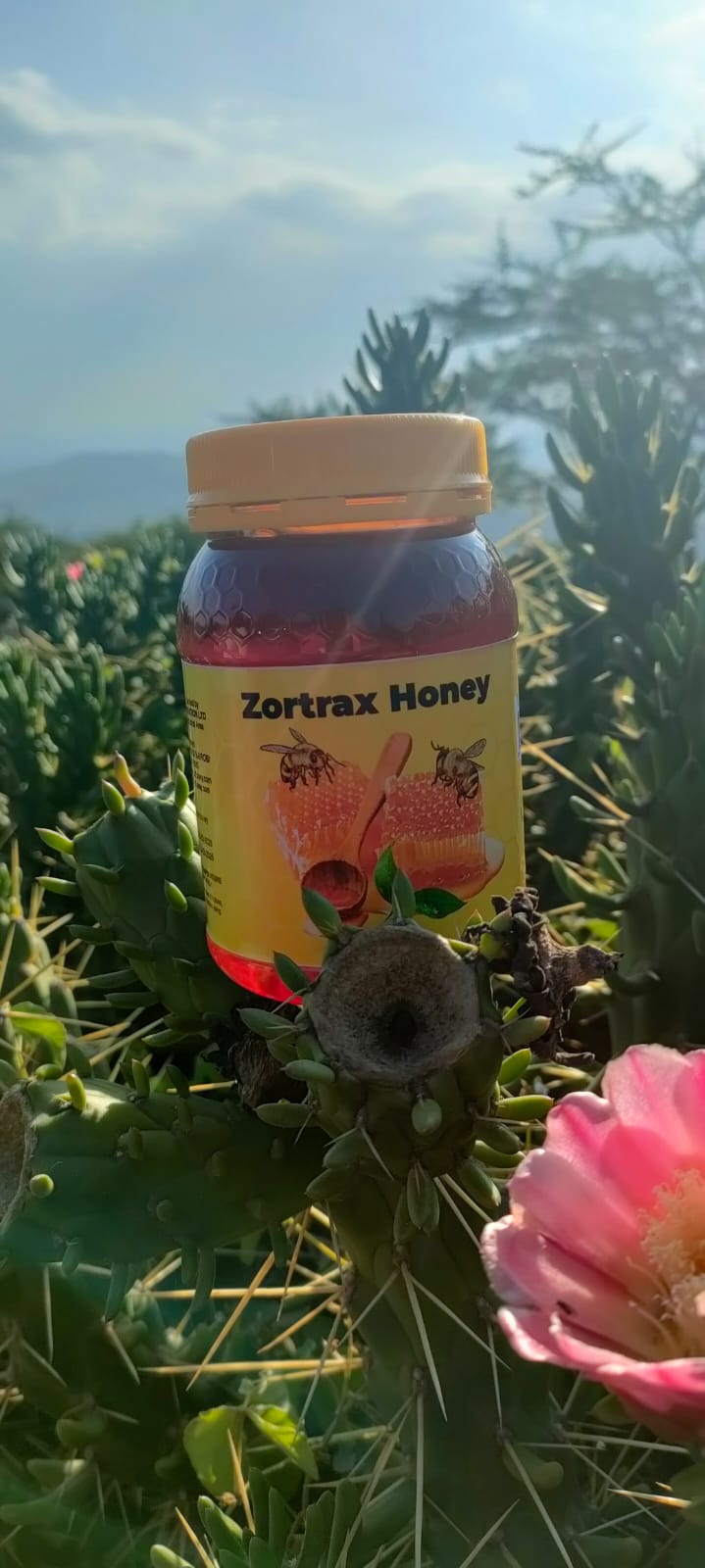 WhatsApp Image 2024-12-10 at 12.24.45