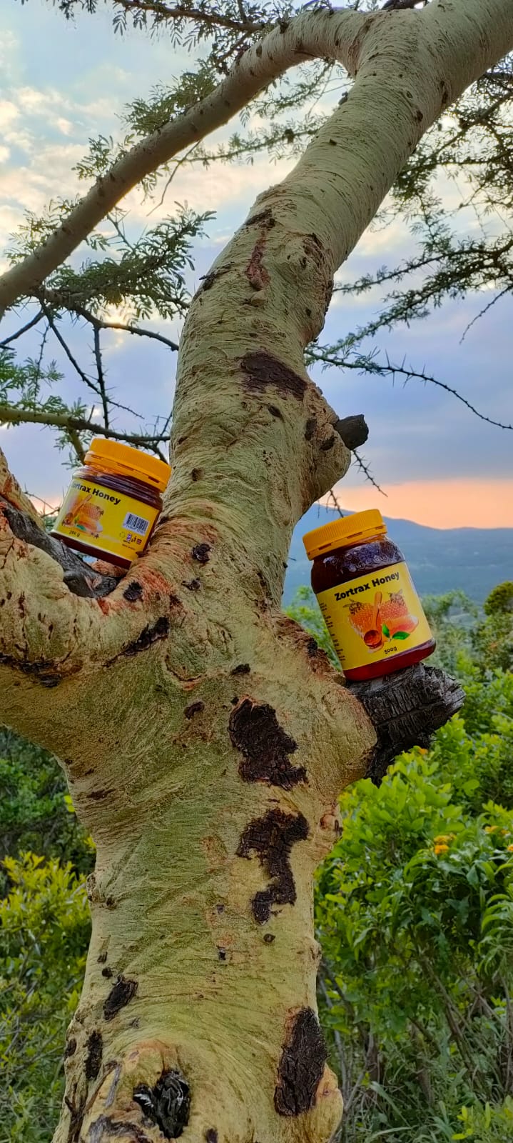 WhatsApp Image 2024-12-10 at 12.24.46 (2)