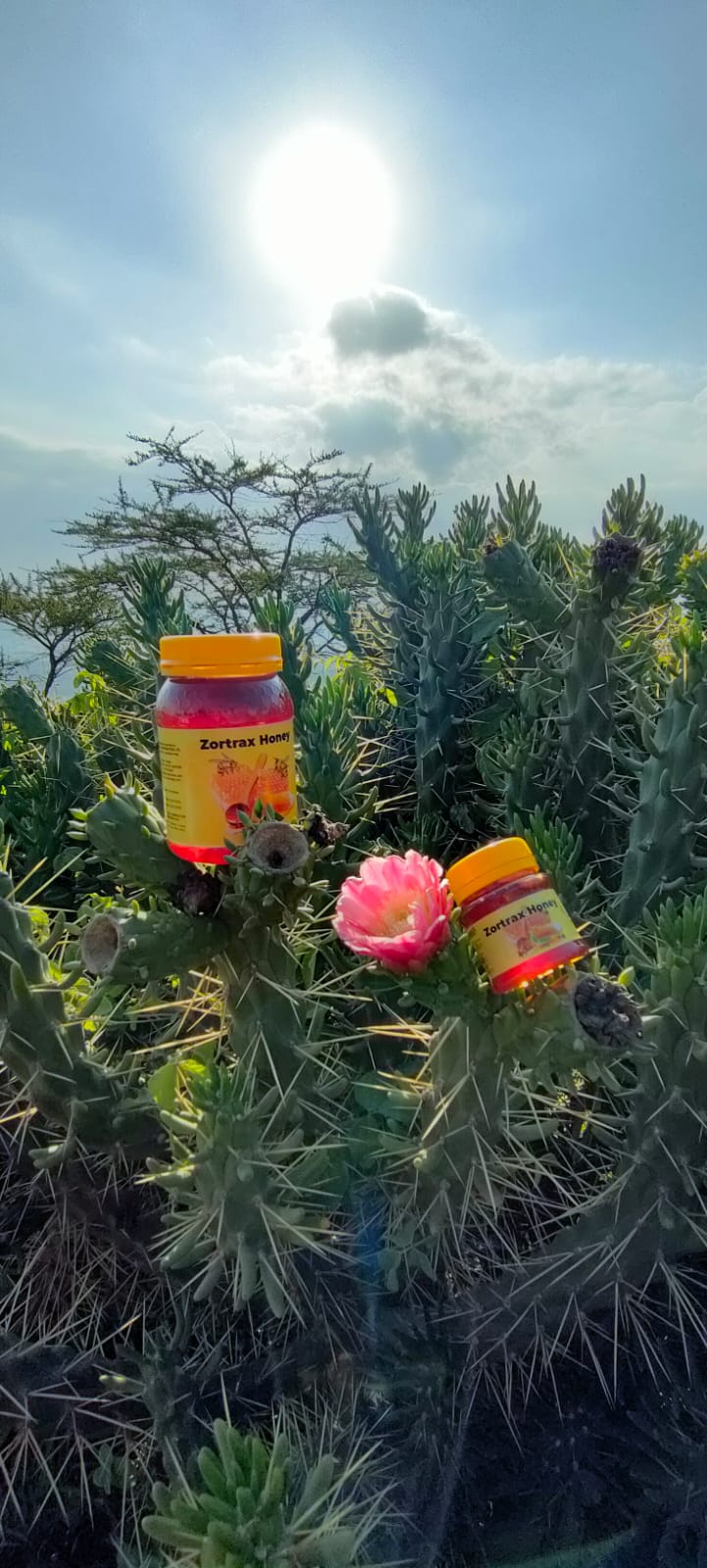 WhatsApp Image 2024-12-10 at 12.24.46