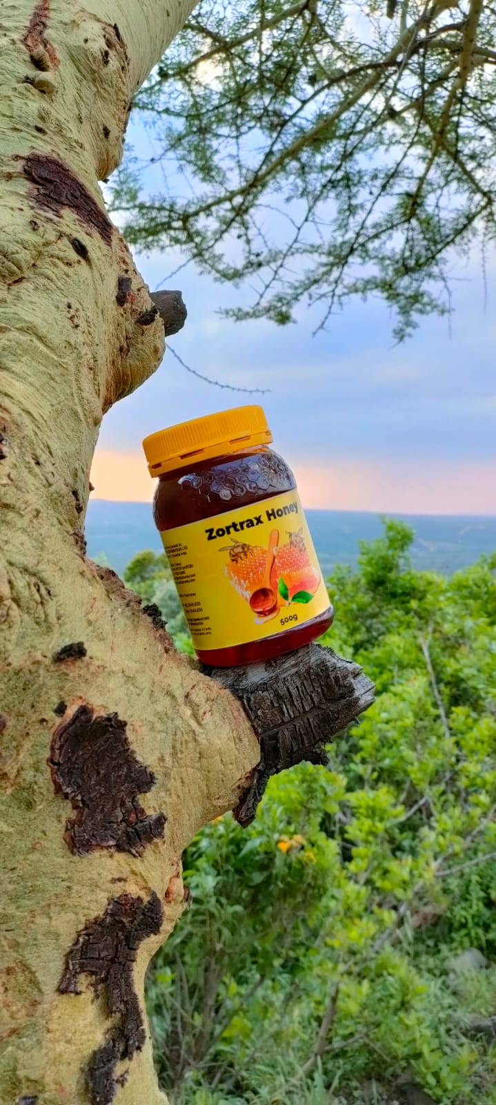 WhatsApp Image 2024-12-10 at 12.24.47 (1)