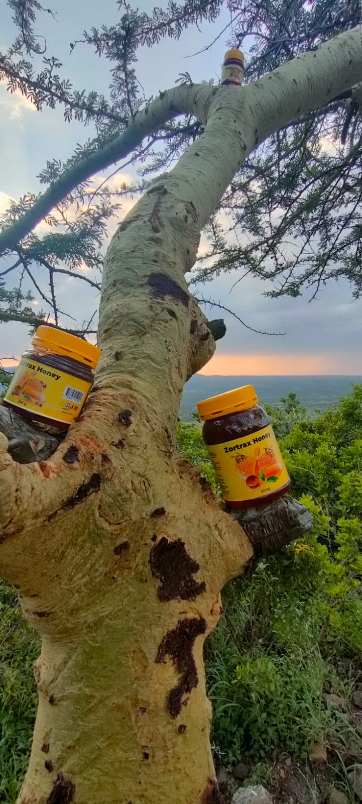 WhatsApp Image 2024-12-10 at 12.24.47 (2)