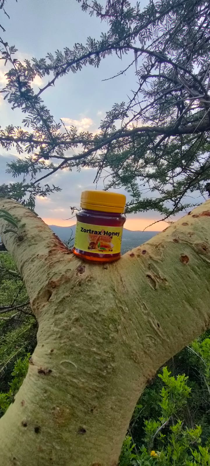 WhatsApp Image 2024-12-10 at 12.24.47